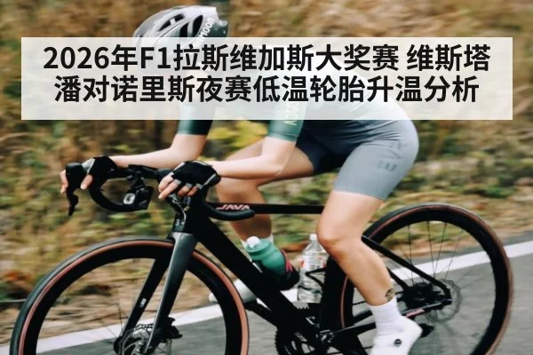 2026年F1拉斯维加斯大奖赛 维斯塔潘对诺里斯夜赛低温轮胎升温分析