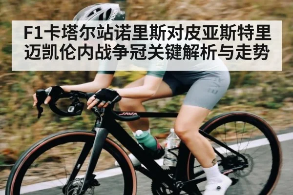 F1卡塔尔站诺里斯对皮亚斯特里迈凯伦内战争冠关键解析与走势